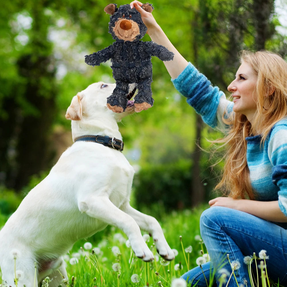 Squeaky Plush Bear Toy Indestructible Dog Toys Interactive Plush Dog Toys for Small Medium Large Dogs
